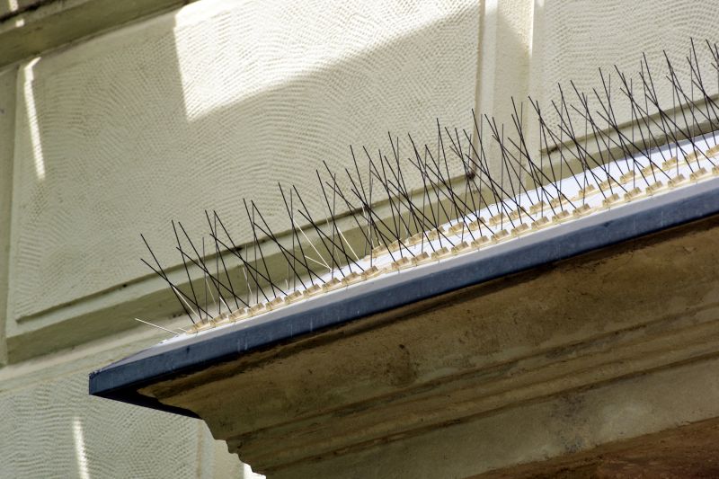 Pigeon Spikes Installation