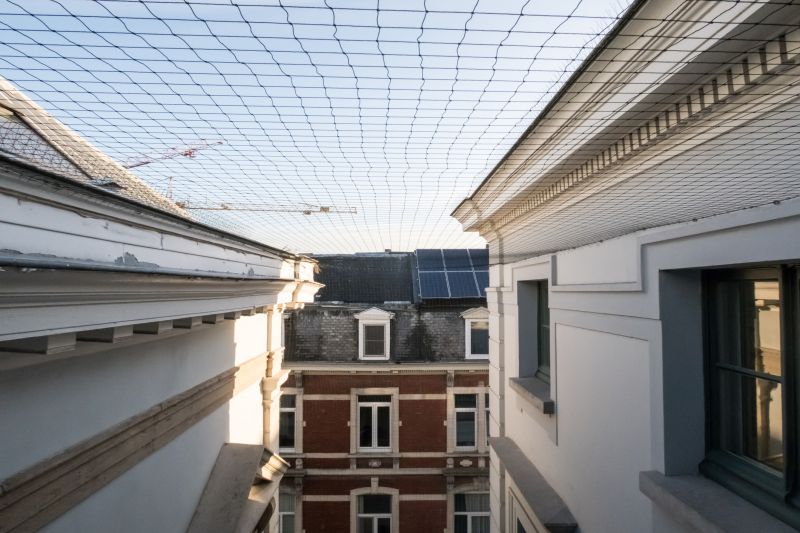 Pigeon Spikes Installation