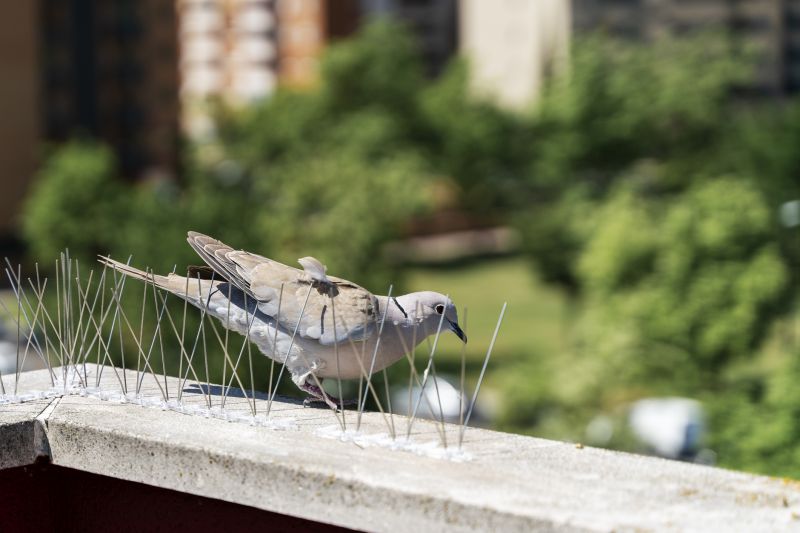 Pigeon Spikes Installation Cost — Cost of Pigeon Spikes Installation