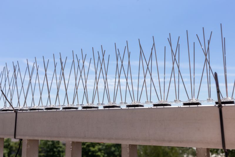 Pigeon Spikes Installation Cost — Cost of Pigeon Spikes Installation