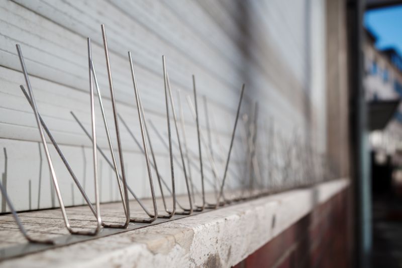 Pigeon Spikes Installation