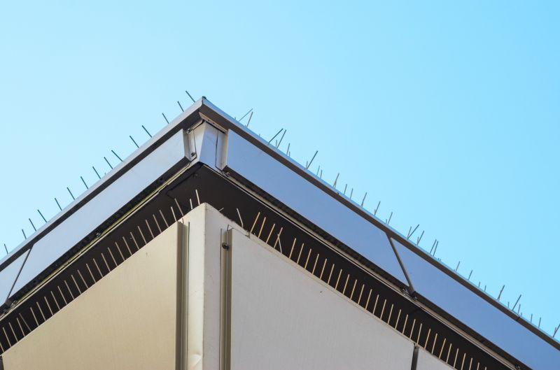 Pigeon Spikes on Commercial Building Roof