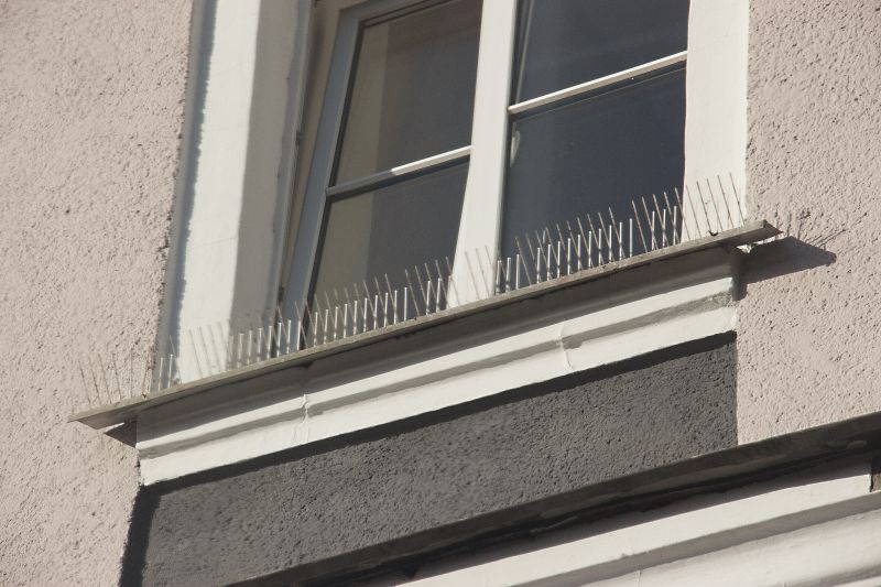 Installed Pigeon Spikes on Building Facade