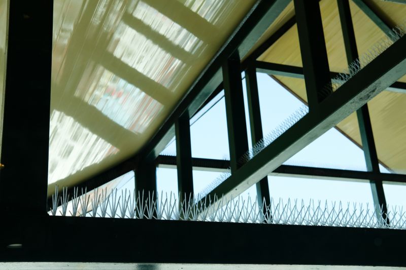 Commercial Building Pigeon Spike Setup