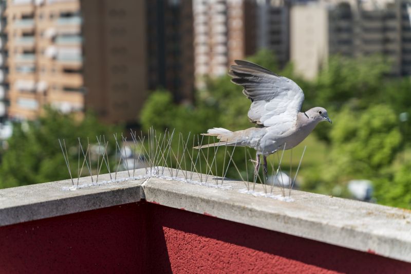 Products For Pigeon Spikes Installations in use